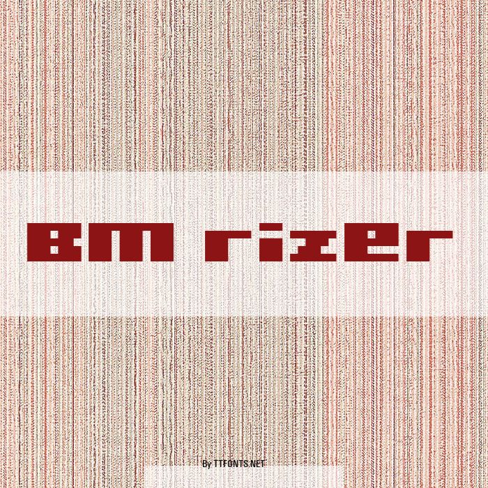 BM rizer example